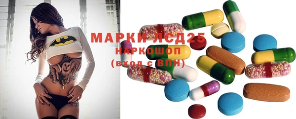 круглые Аркадак