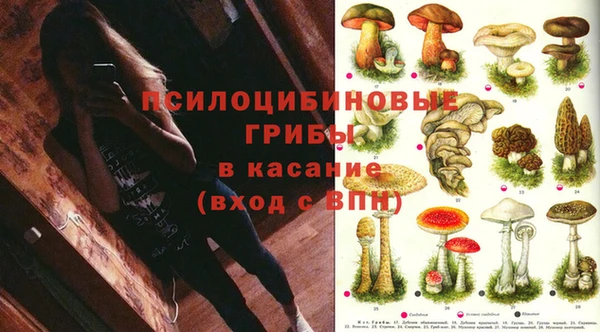 круглые Аркадак