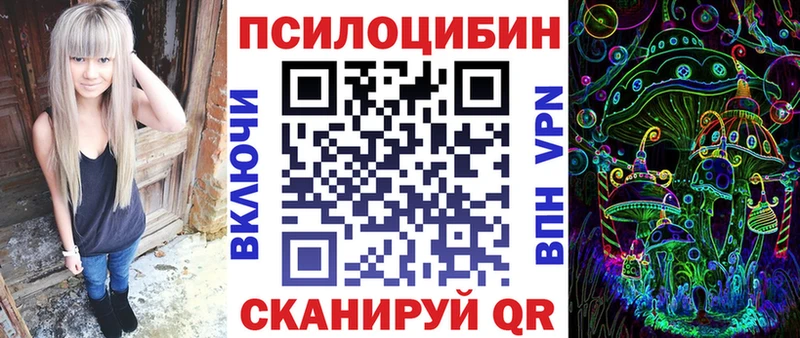 Псилоцибиновые грибы Psilocybe Купить Гдов